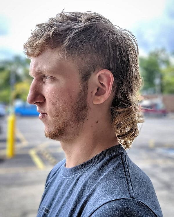 Fresh Mullet