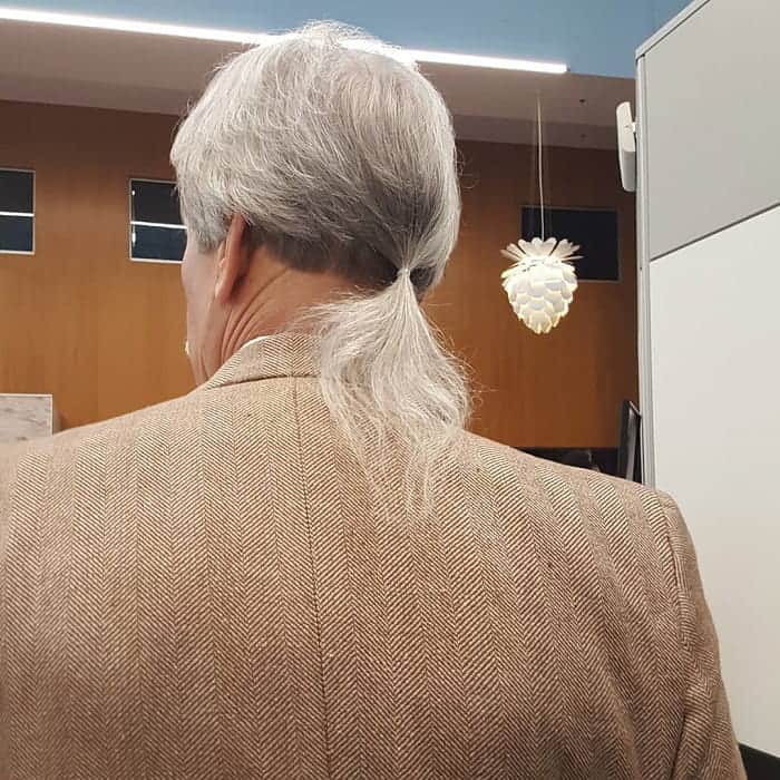 Ponytail for Older Men