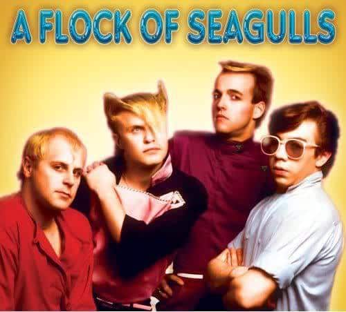 Image of A Flock of Seagulls.