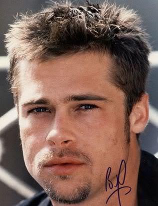 Photo of Brad Pitt's goatee. 