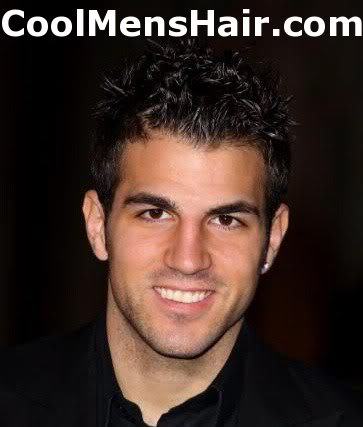 Picture of Cesc Fabregas medium spiky hairstyle. 