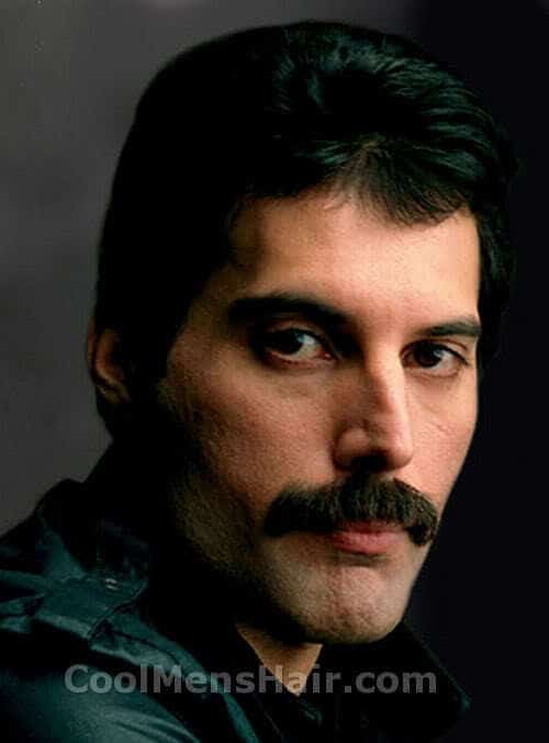 Photo of Freddie Mercury mustache.