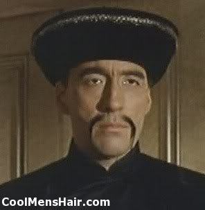 Photo of Fu Manchu mustache. 