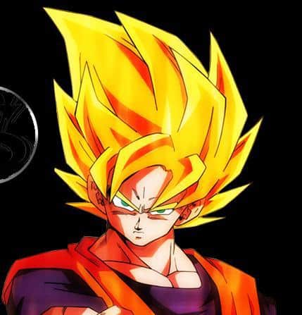 Picture of Goku Super Saiyan hairstyle.