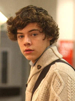 Image of Harry Styles curly hair.