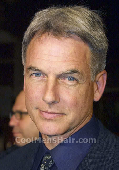 Picture of Mark Harmon hairstyle.