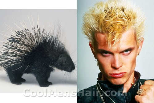 Photo of porcupine hairstyle.