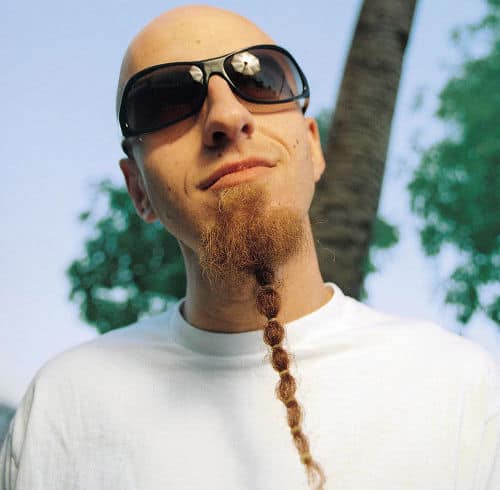 Photo of Shavo Odadjian beard style.