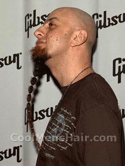 Photo of Shavo Odadjian beard.