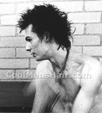 Sid Vicious spiky hair picture.