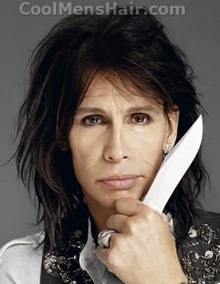 Image of Steven Tyler hairstyle.