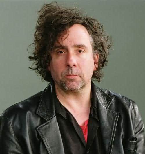 Image of Tim Burton messy curly hairstyle.