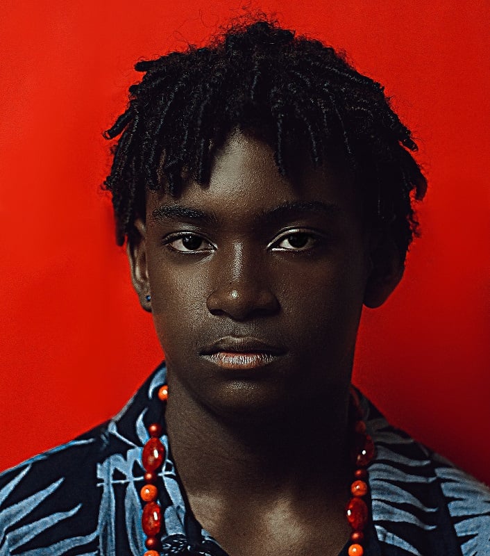 Twisted Hairstyle for Black Boys 
