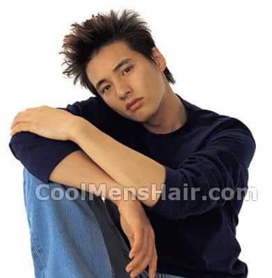 Image of Won Bin spiky Pompadour hairstyle.