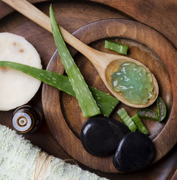 Aloe Vera for hair care