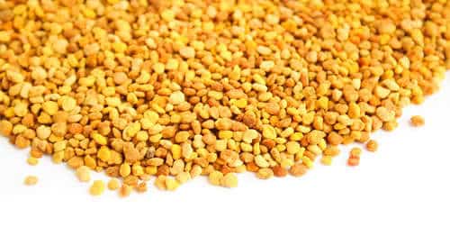 Photo of bee pollen.