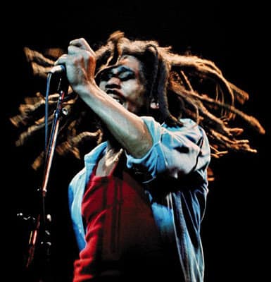 Bob Marley Dreadlock