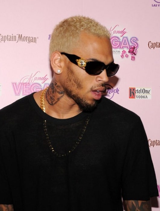 chris brown's hairstyle with beard