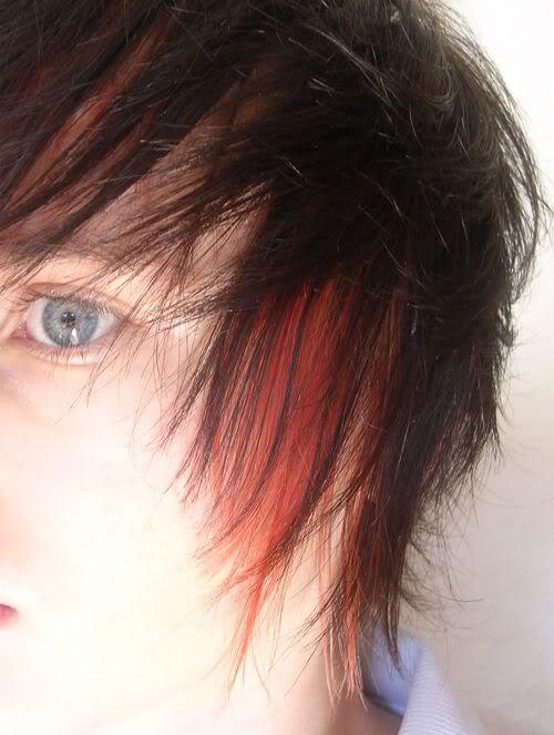 Photo of a boy with colored hair.