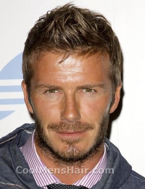 How To Grow The Retro David Beckham Beard Cool Mens Hair 