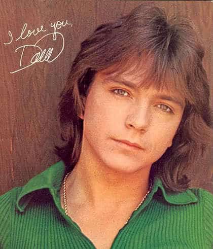 David Cassidy Shaggy Hairstyle 