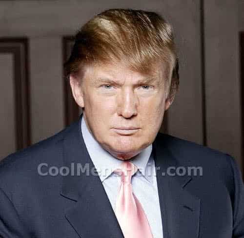 Photo of Donald Trump hair.