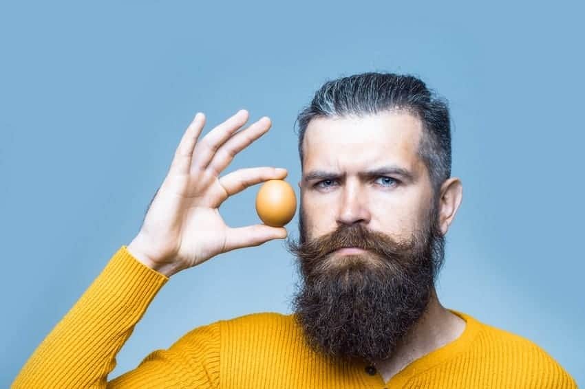 The Benefits Of Eggs For Hair Care & Style – Cool Men's Hair