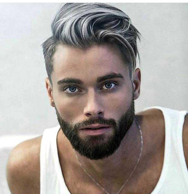 Details 161+ grey hairstyle male