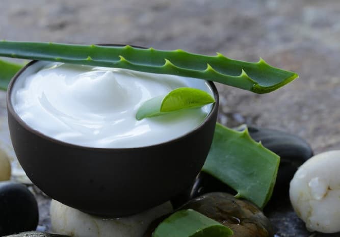 aloe vera for bald head men