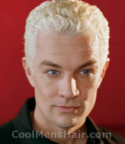 Photo of James Marsters 'Spike' hairstyle.