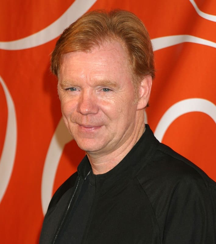 senior actor with red hair - David Caruso