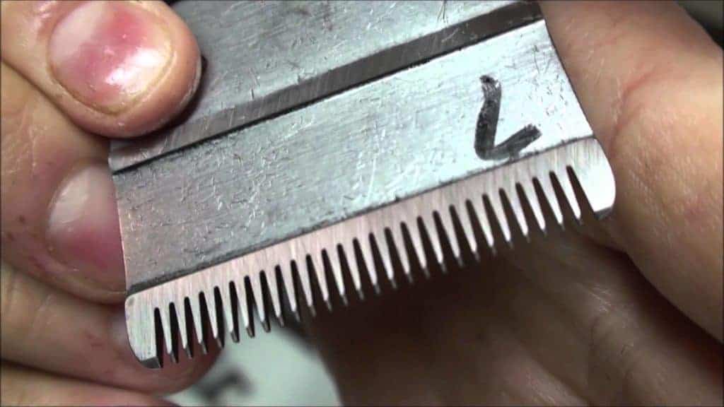 sharpen hair clipper blade
