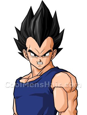 Picture of Vegeta black spiky hairstyle.